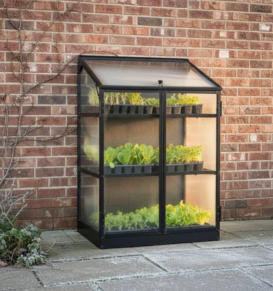 What to Grow in Your Harvst Mini Greenhouse