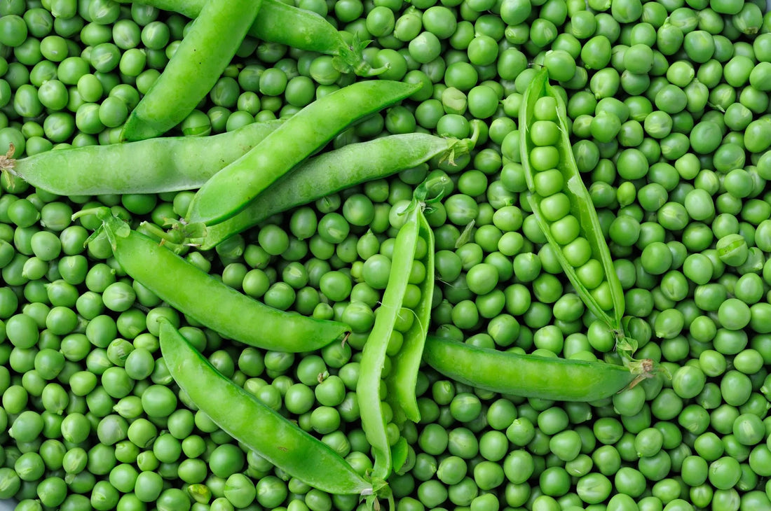 How to Grow Peas