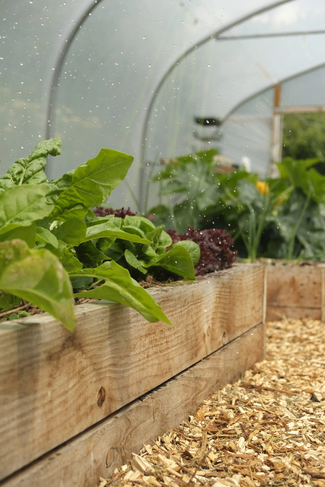 The Versitility of the WaterMate Irragation System