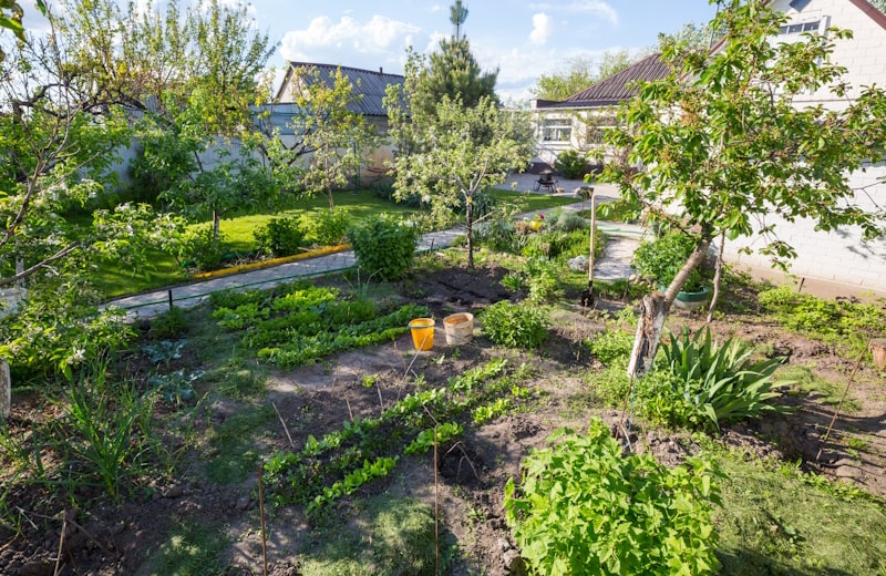 How to Use Sensors to Perfect Your Plant Watering Schedule