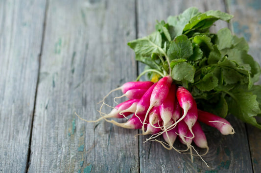How to Grow Radish