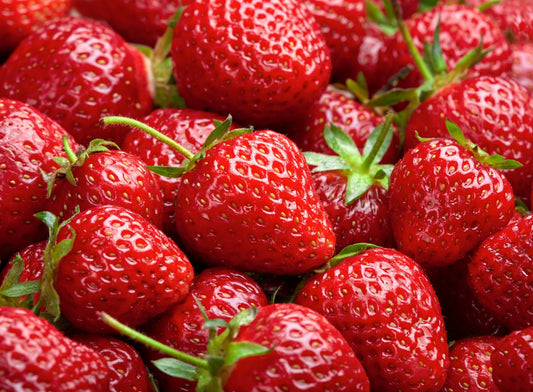 How to Grow Strawberries