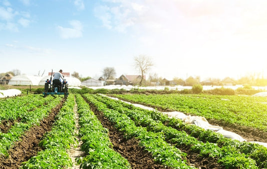 4 Sustainable Farming Practices & The Future of Farming