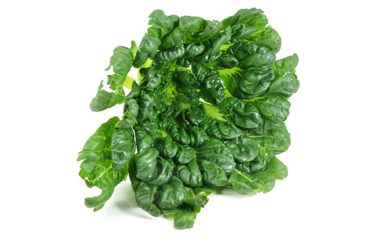 How to Grow Tatsoi