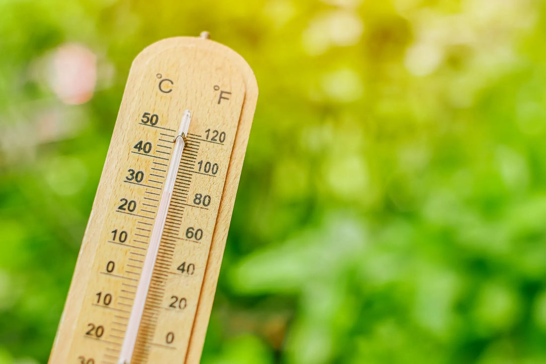 Taking control of your growing environment