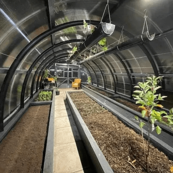 Why You Need an Automated Irrigation System