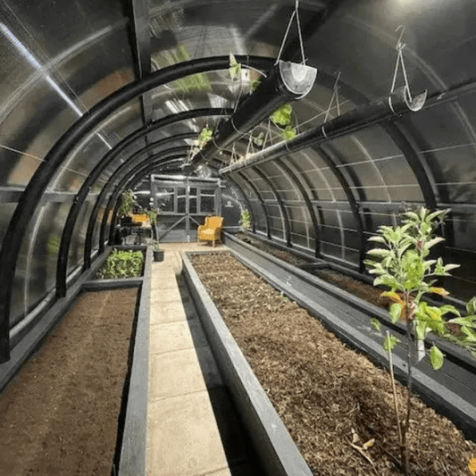 Why You Need an Automated Irrigation System