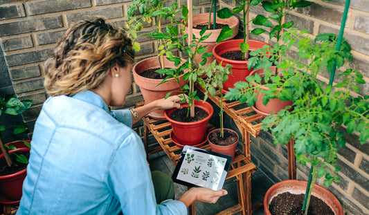 A woman monitoring her plants via a remote app, directly benefitting from using an automatic watering system for her home garden.
