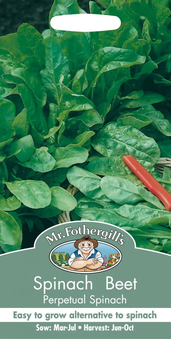 Mr. Fothergill’s Spinach Beet Seeds