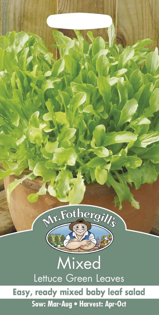 Mr. Fothergill’s Mixed Lettuce Green Leaves Seeds