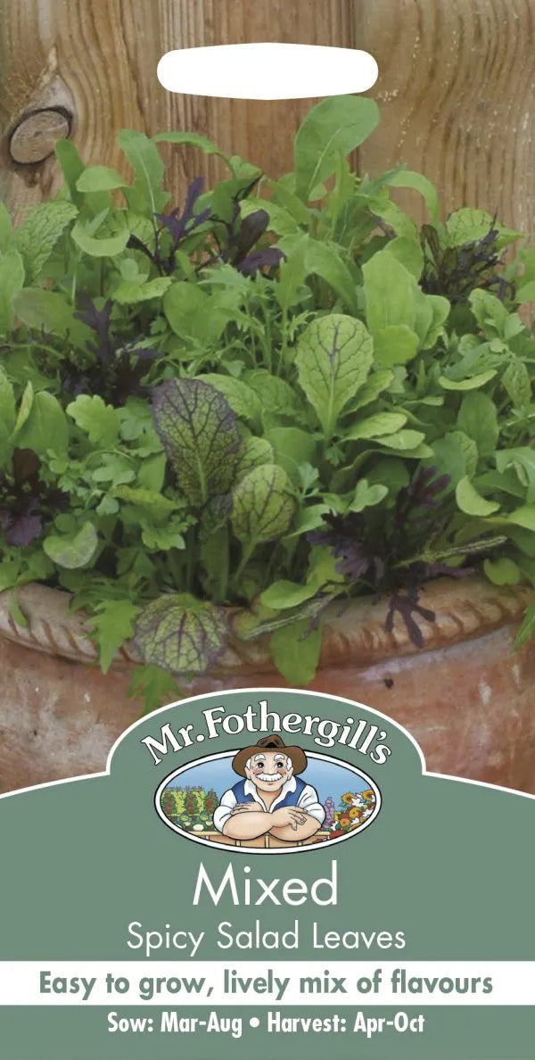 Mr. Fothergill’s Mixed Spicy Salad Leaves