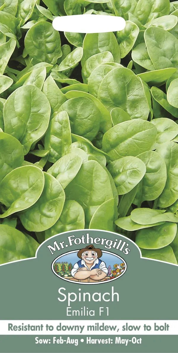 Mr. Fothergill’s Spinach Seeds