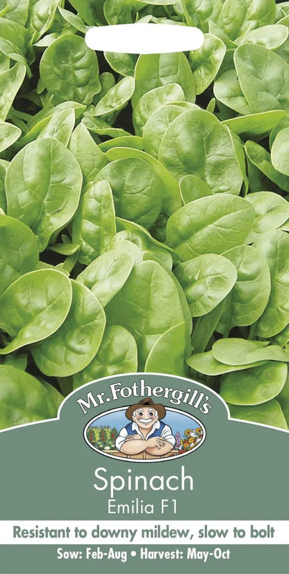 Mr. Fothergill’s Spinach Seeds