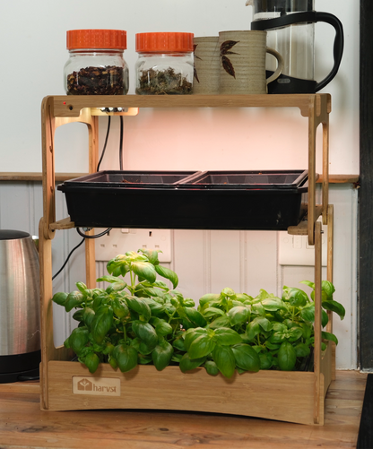 H-mini indoor grow system