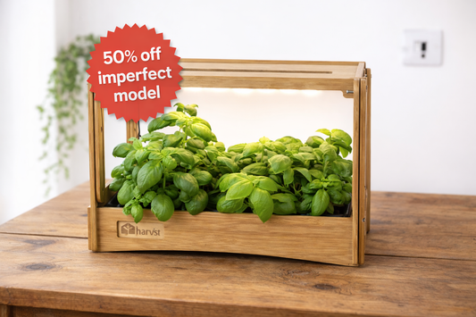 Imperfect H-mini indoor grow system