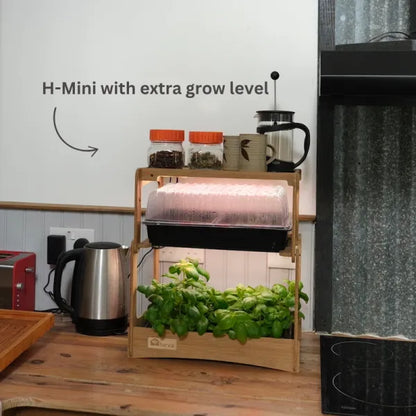 H-mini indoor grow system