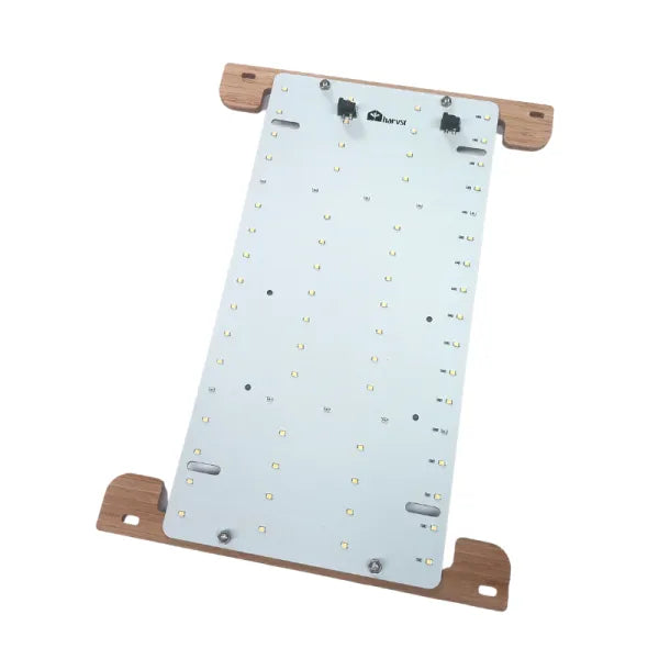 H-mini extra grow level