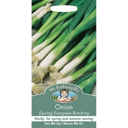 Mr. Fothergill’s Onion (Spring) Evergreen Bunching Seeds