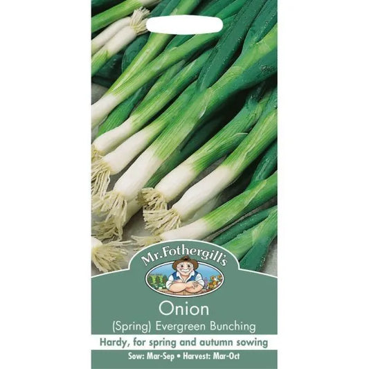 Mr. Fothergill’s Onion (Spring) Evergreen Bunching Seeds