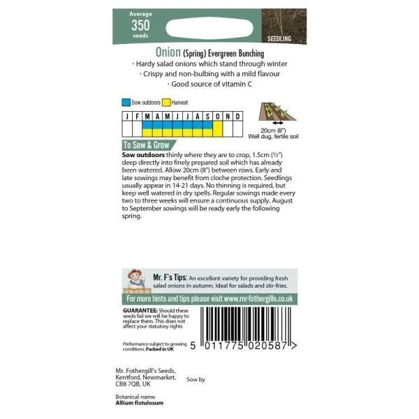 Mr. Fothergill’s Onion (Spring) Evergreen Bunching Seeds