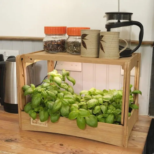 H-mini indoor grow system