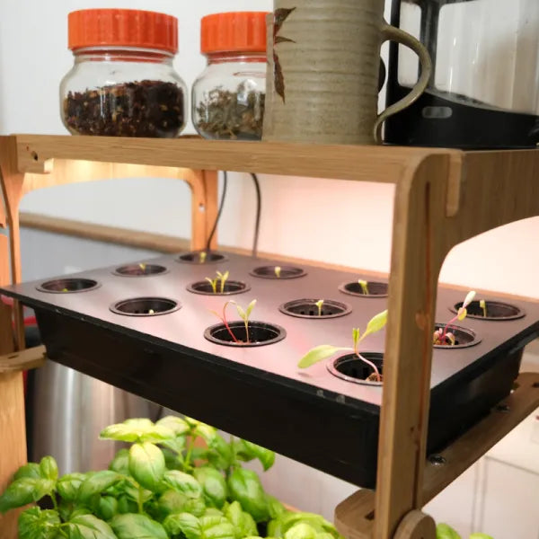 H-mini indoor grow system