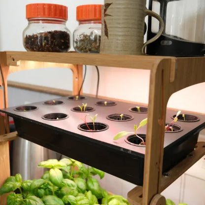 H-mini indoor grow system